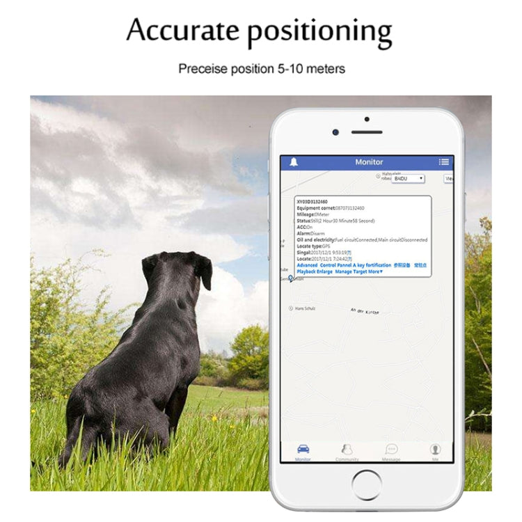 Dog beside smartphone displaying pet GPS accurate positioning monitor screen.