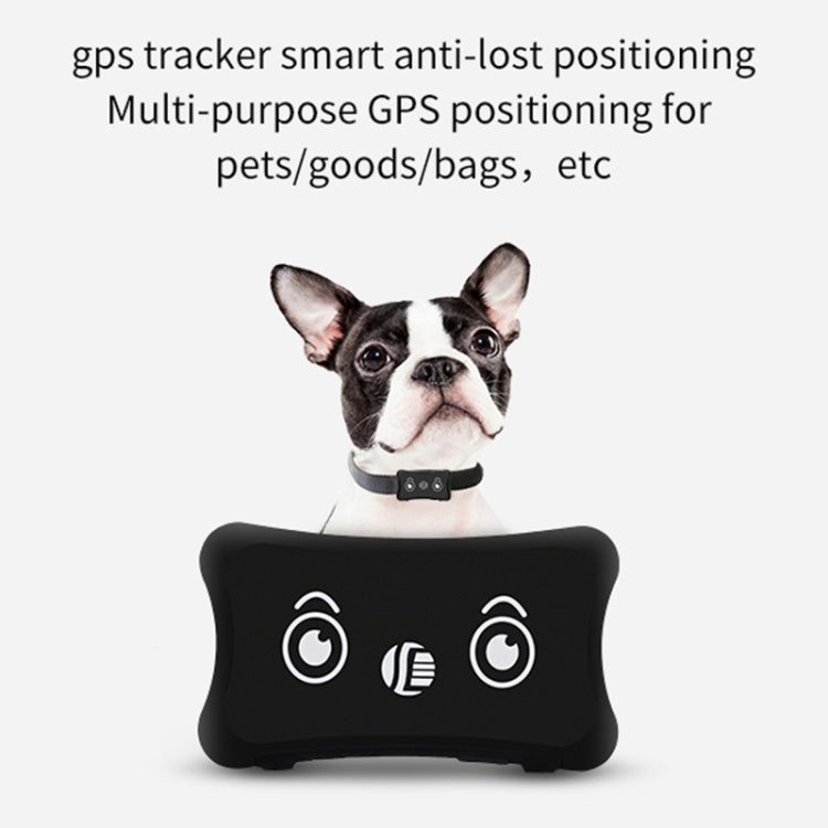 Black GPS tracker module on a small dog’s collar