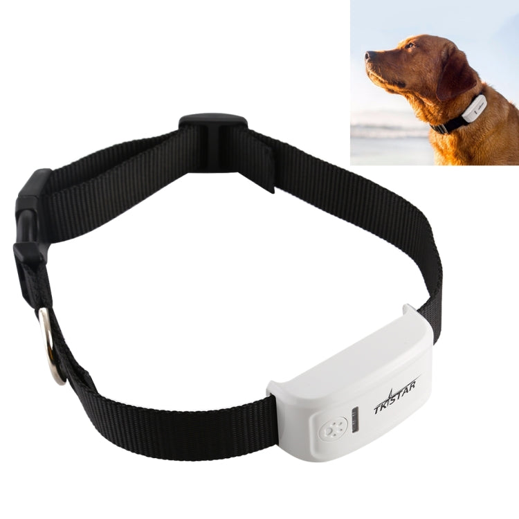 Black fabric pet collar with white GPS tracker module