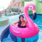 Pink flamingo inflatable pool float lounge ring, 120 cm, with beak and face