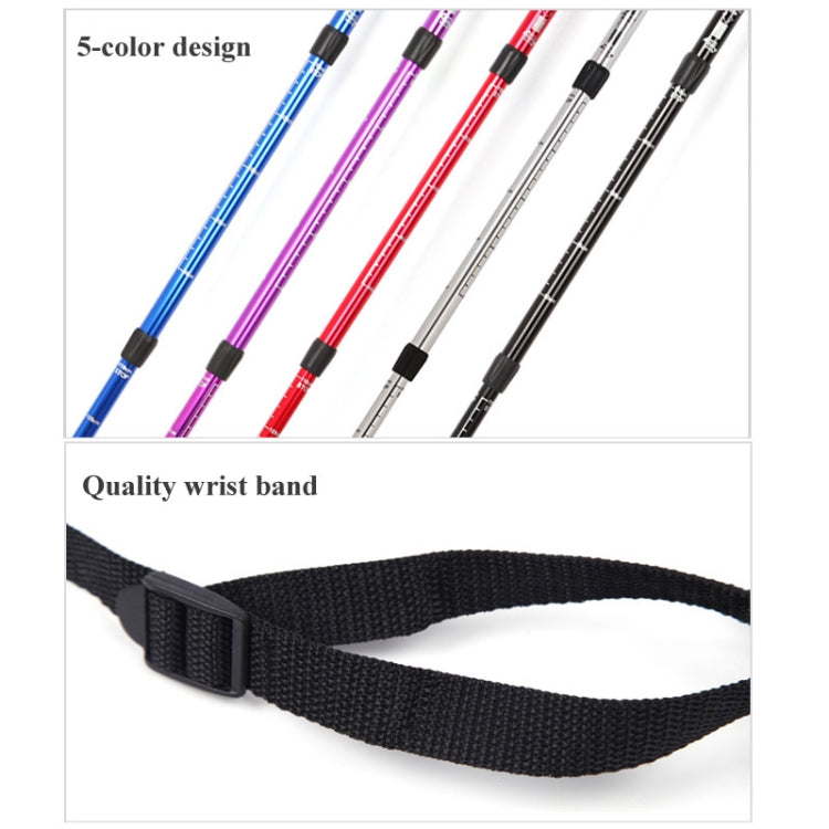 Set of five color trekking canes with black straps and wrist band detail