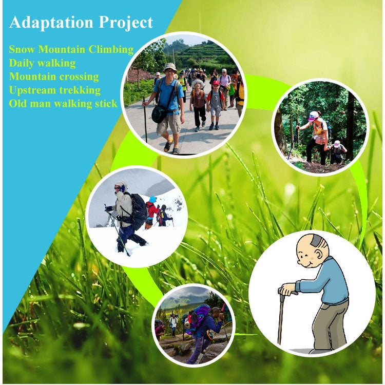 Illustrated trekking cane with circular activity icons