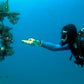 Underwater LED flashlight held by diver, casting a narrow white beam in water.