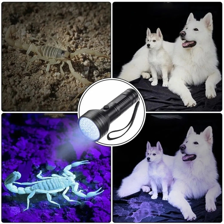 Black UV flashlight with purple glow highlighting objects in test scenes